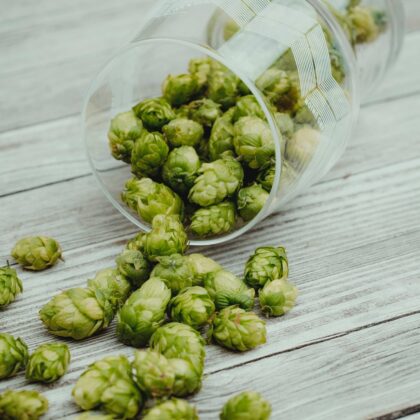 Brewing workshop2